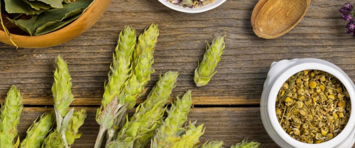 فواید گیاهان دارویی بر بدن