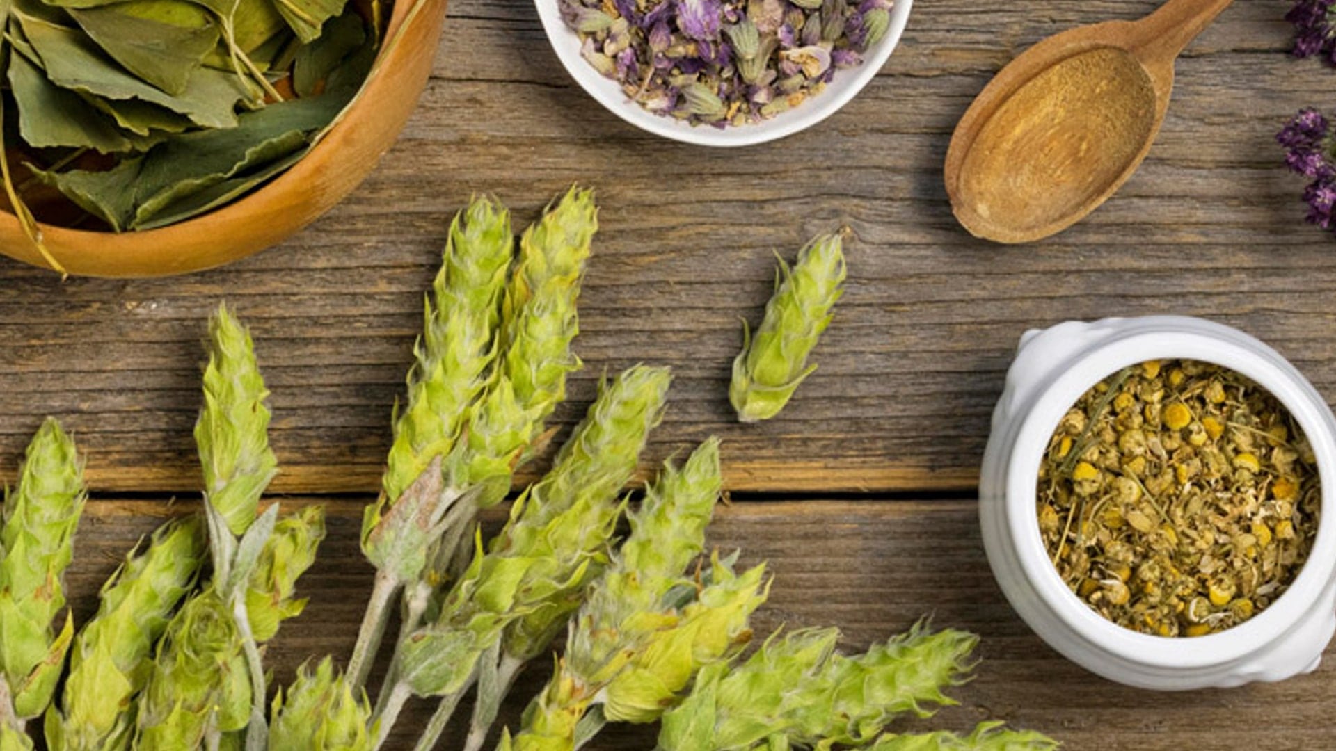 فواید گیاهان دارویی بر بدن