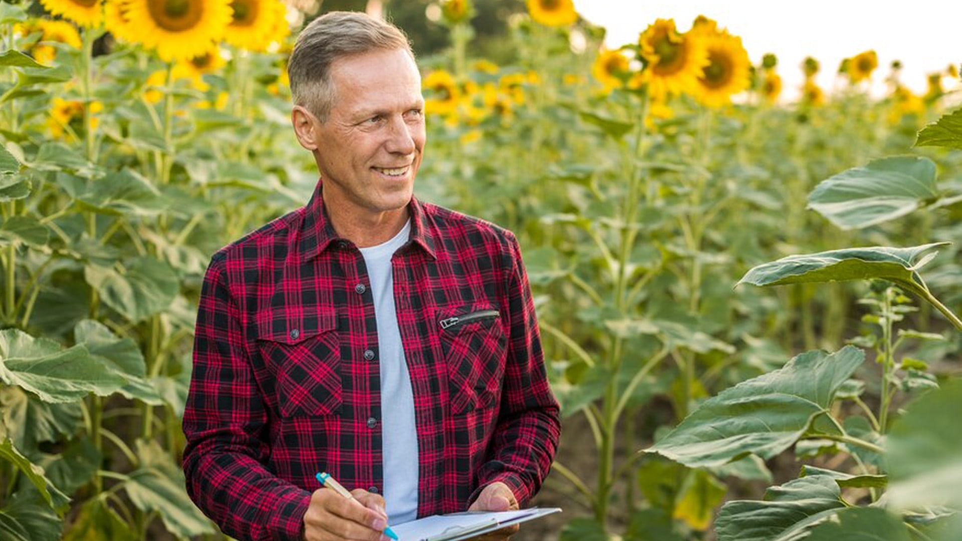 کشاورزی قراردادی فراگیر