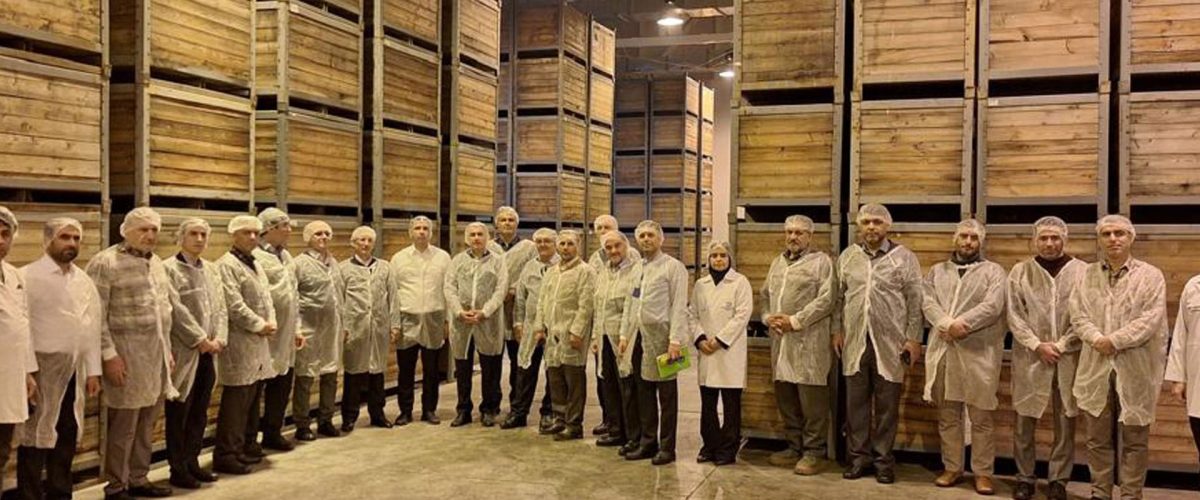 آغاز همکاری مانی آسیا و شرکت مادر تخصصی